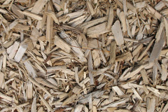 biomass boilers Fairmile